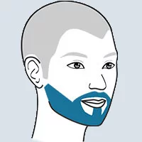 an illustration of different areas for PRP on the beard